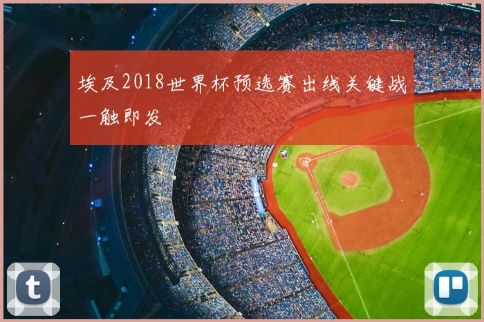 埃及2018世界杯预选赛出线关键战一触即发