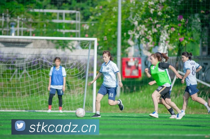 fifa2026世界杯官网首页APP 封面图